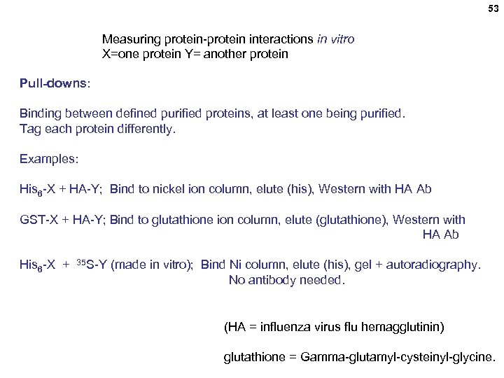 53 Measuring protein-protein interactions in vitro X=one protein Y= another protein Pull-downs: Binding between