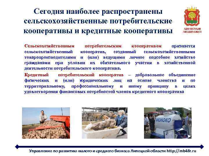 Сегодня наиболее распространены сельскохозяйственные потребительские кооперативы и кредитные кооперативы Сельскохозяйственным потребительским кооперативом признается сельскохозяйственный
