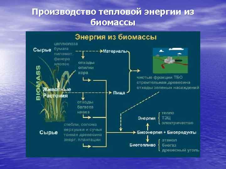 Производство тепловой энергии из биомассы 