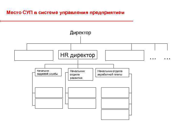 Место СУП в системе управления предприятием Директор HR директор Начальник кадровой службы Начальник отдела