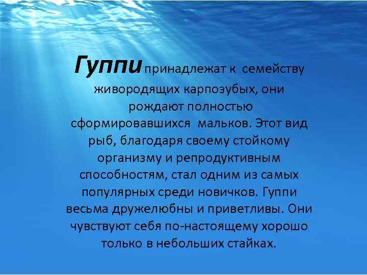 Гуппи принадлежат к семейству живородящих карпозубых, они рождают полностью сформировавшихся мальков. Этот вид рыб,