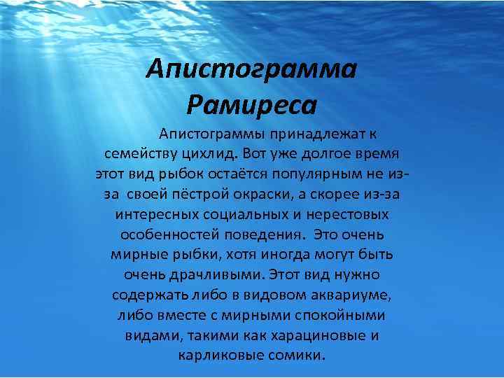 Апистограмма Рамиреса Апистограммы принадлежат к семейству цихлид. Вот уже долгое время этот вид рыбок