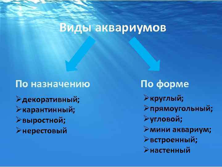 Виды аквариумов По назначению Øдекоративный; Øкарантинный; Øвыростной; Øнерестовый По форме Øкруглый; Øпрямоугольный; Øугловой; Øмини