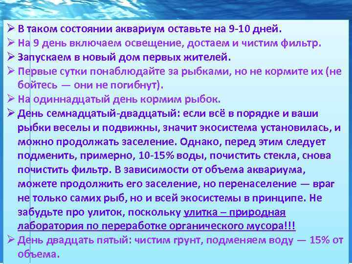 Ø В таком состоянии аквариум оставьте на 9 -10 дней. Ø На 9 день