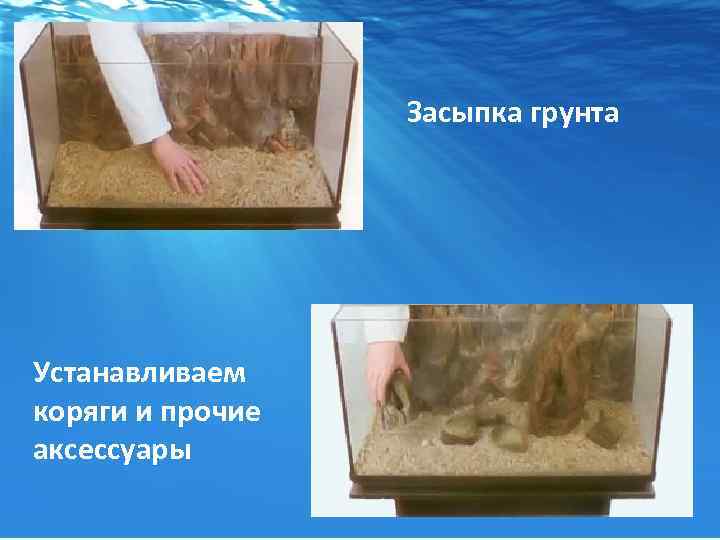 Засыпка грунта Устанавливаем коряги и прочие аксессуары 