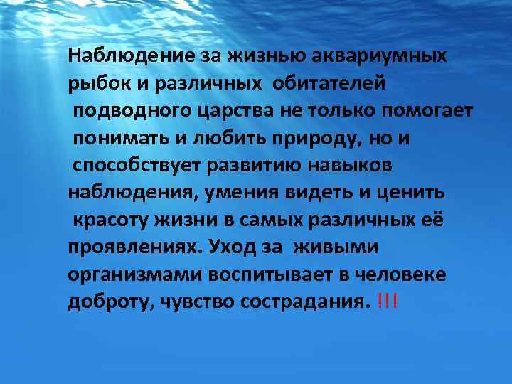 Наблюдение за жизнью аквариумных рыбок и различных обитателей подводного царства не только помогает понимать