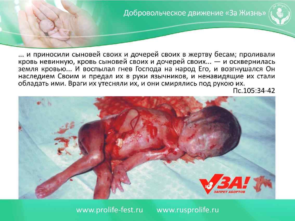 оглавление 