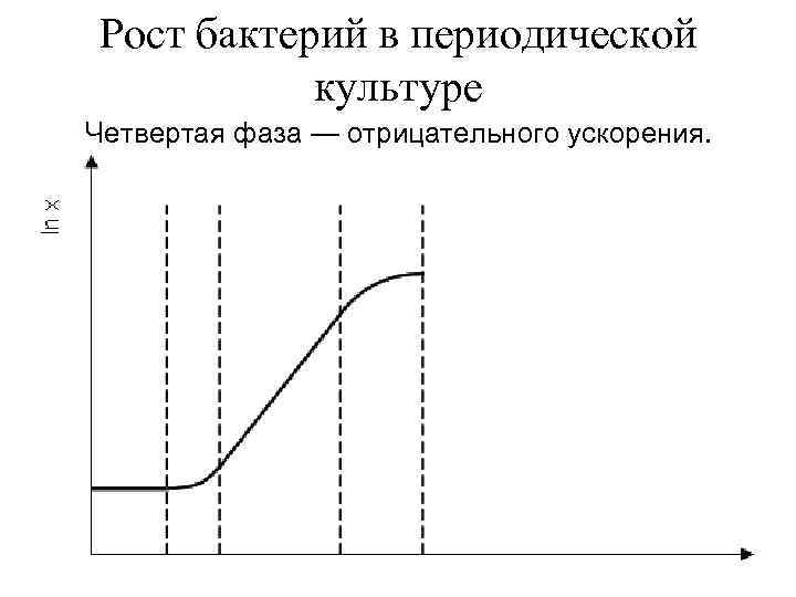 Рост бактерий в периодической культуре Четвертая фаза — отрицательного ускорения. 