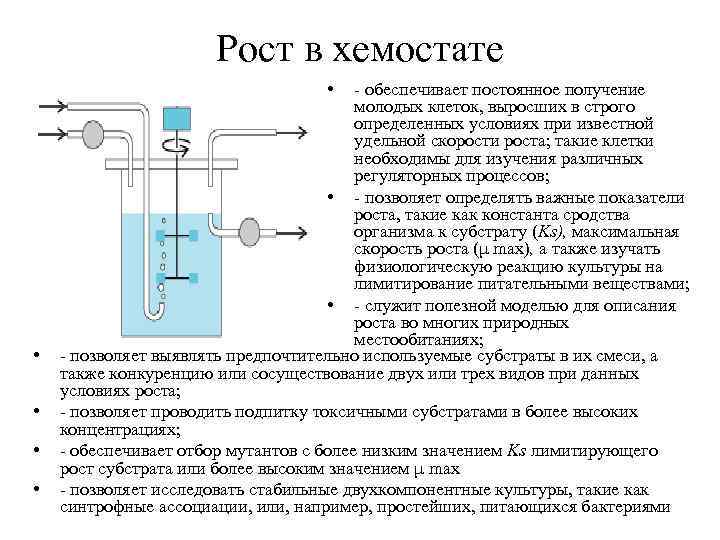 Получение постоянный. Хемостат и Турбидостат. Схема хемостата. Турбидостат схема. Непрерывное культивирование микроорганизмов хемостат.