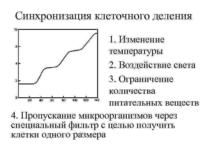 Синхронизация клеточного деления 1. Изменение температуры 2. Воздействие света 3. Ограничение количества питательных веществ