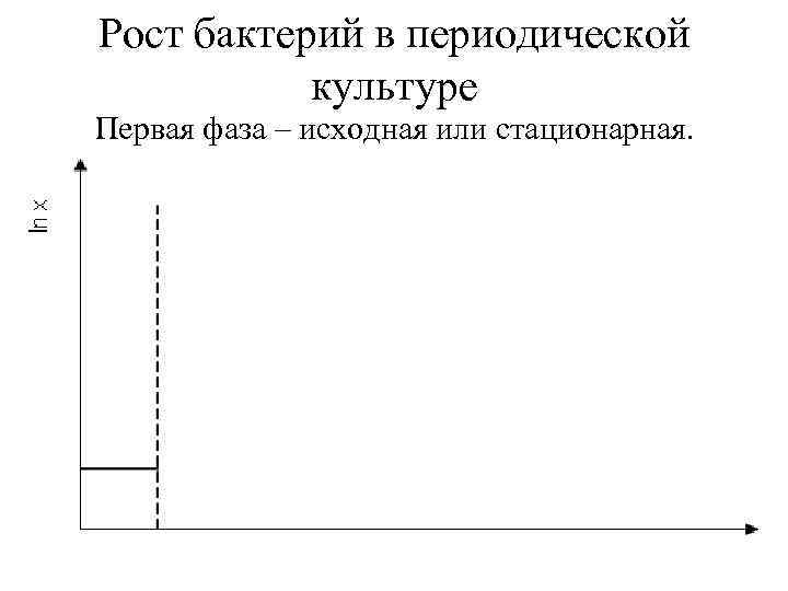 Рост бактерий в периодической культуре Первая фаза – исходная или стационарная. 