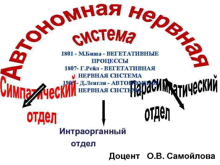 1801 - М. Биша - ВЕГЕТАТИВНЫЕ ПРОЦЕССЫ 1807 - Г. Рейл - ВЕГЕТАТИВНАЯ НЕРВНАЯ