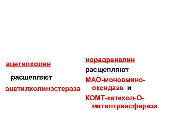 норадреналин ацетилхолин расщепляют расщепляет МАО-моноаминооксидаза и ацетилхолинэстераза КОМТ-катехол-Ометилтрансфераза 