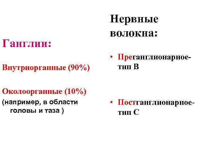 Ганглии: Внутриорганные (90%) Нервные волокна: • Преганглионарноетип В Околоорганные (10%) (например, в области головы