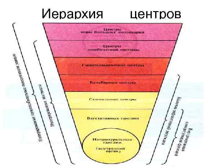 Иерархия центров 