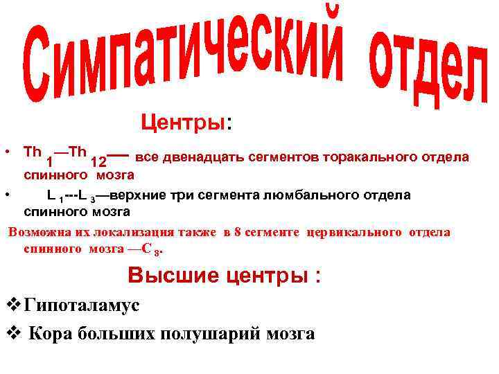 Центры: • Th — все двенадцать сегментов торакального отдела 1 12 спинного мозга •