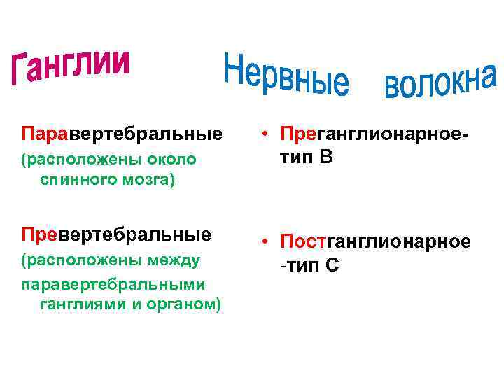 Паравертебральные (расположены около спинного мозга) Превертебральные (расположены между паравертебральными ганглиями и органом) • Преганглионарноетип