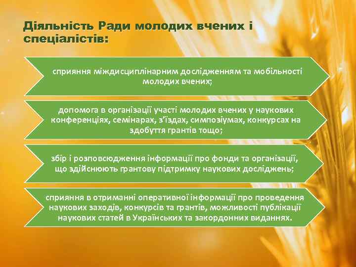 Діяльність Ради молодих вчених і спеціалістів: сприяння міждисциплінарним дослідженням та мобільності молодих вчених; допомога