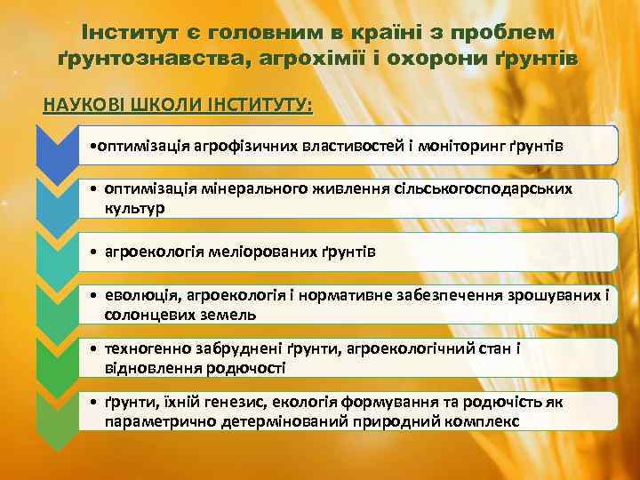 Інститут є головним в країні з проблем ґрунтознавства, агрохімії і охорони ґрунтів НАУКОВІ ШКОЛИ