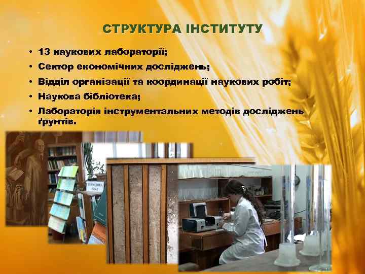 СТРУКТУРА ІНСТИТУТУ • 13 наукових лабораторії; • Сектор економічних досліджень; • Відділ організації та