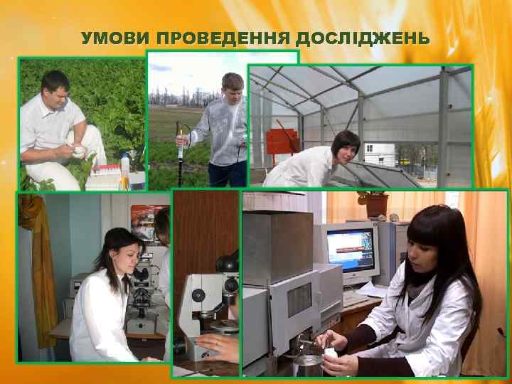 УМОВИ ПРОВЕДЕННЯ ДОСЛІДЖЕНЬ 