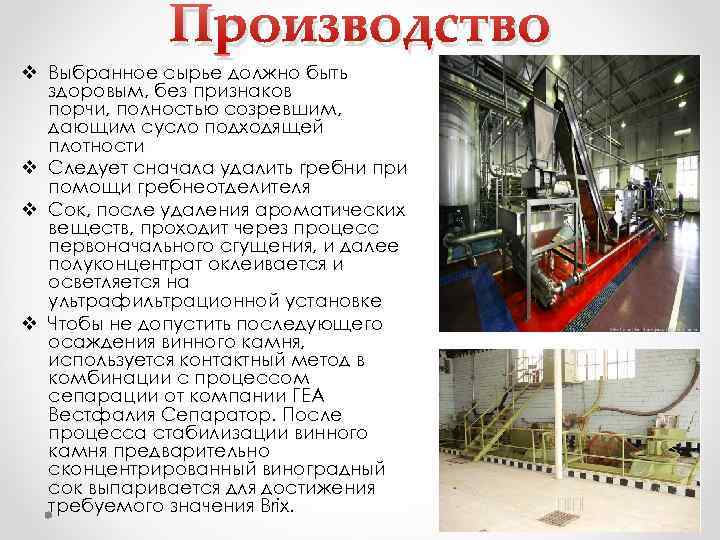 Производство v Выбранное сырье должно быть здоровым, без признаков порчи, полностью созревшим, дающим сусло