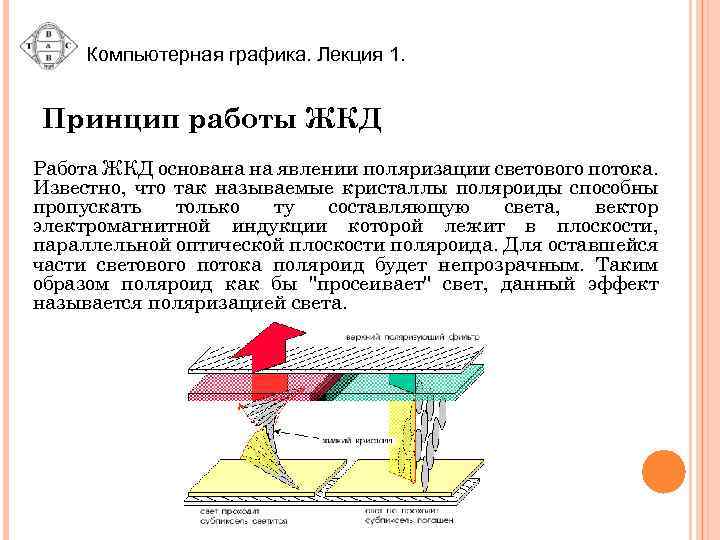 Компьютерная графика. Лекция 1. Принцип работы ЖКД Работа ЖКД основана на явлении поляризации светового