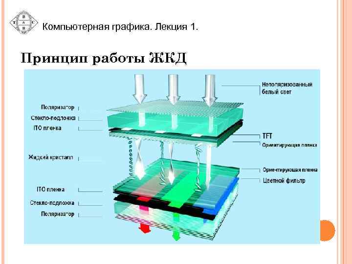 Компьютерная графика. Лекция 1. Принцип работы ЖКД 