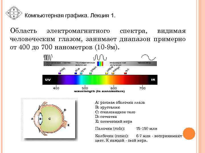 Компьютерная графика. Лекция 1. Область электромагнитного спектра, видимая человеческим глазом, занимает диапазон примерно от
