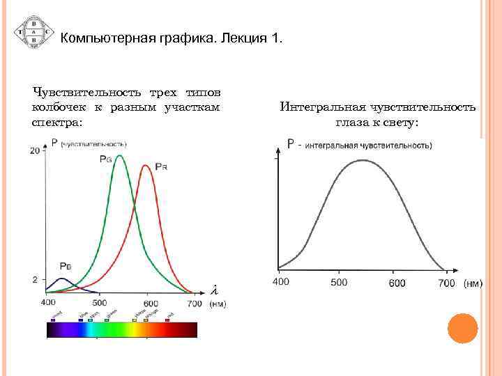 Компьютерная графика. Лекция 1. Чувствительность трех типов колбочек к разным участкам спектра: Интегральная чувствительность