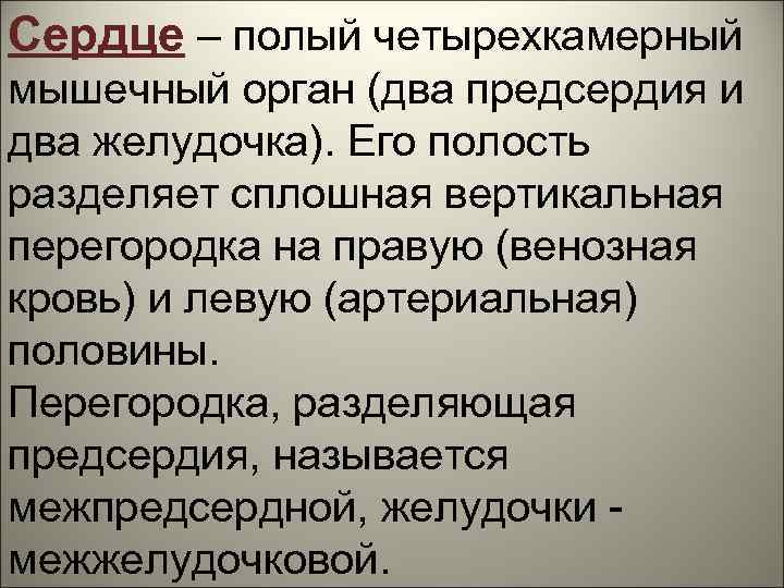 Сердце – полый четырехкамерный мышечный орган (два предсердия и два желудочка). Его полость разделяет