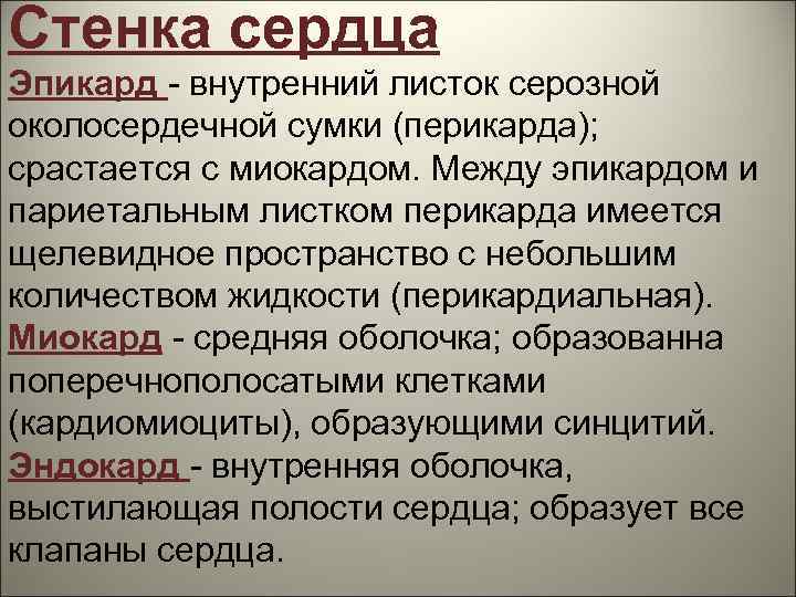 Стенка сердца Эпикард - внутренний листок серозной околосердечной сумки (перикарда); срастается с миокардом. Между