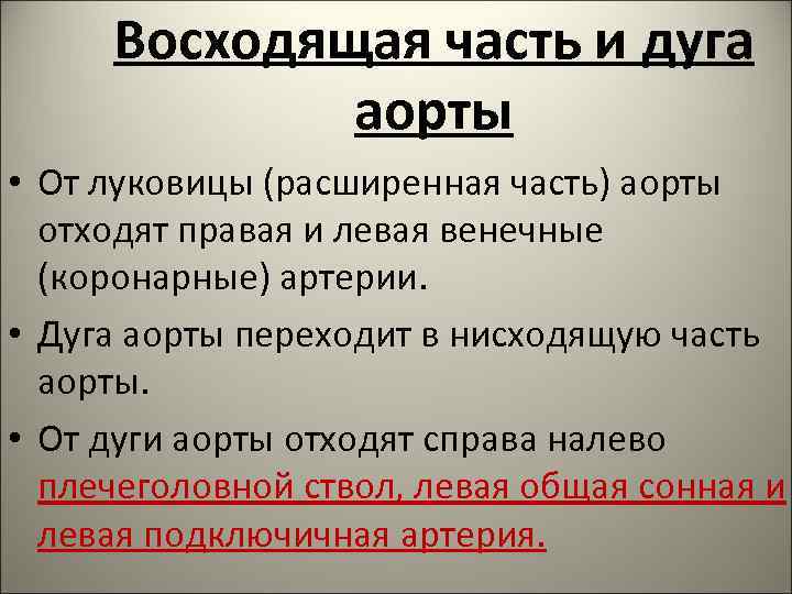 Восходящая часть и дуга аорты • От луковицы (расширенная часть) аорты отходят правая и