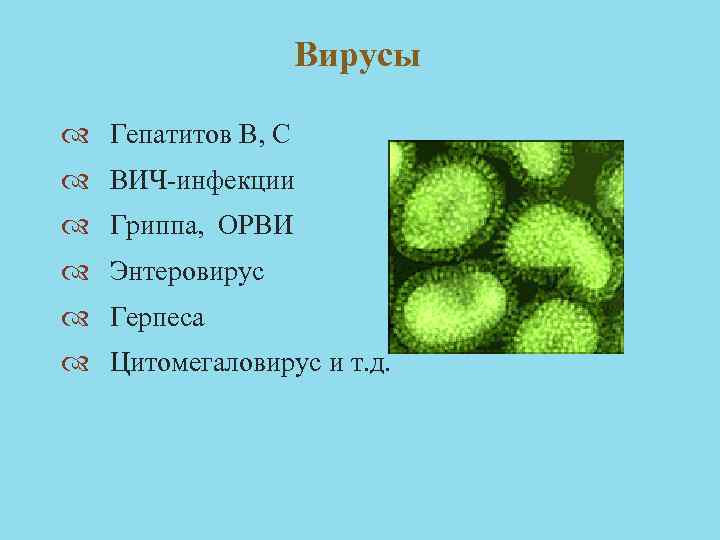 Вирусы Гепатитов В, С ВИЧ-инфекции Гриппа, ОРВИ Энтеровирус Герпеса Цитомегаловирус и т. д. 