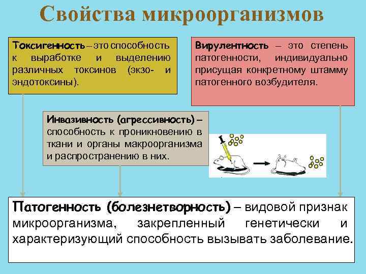 Свойства микроорганизмов Токсигенность – это способность к выработке и выделению различных токсинов (экзо- и