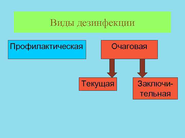 Виды дезинфекции Профилактическая Очаговая Текущая Заключительная 