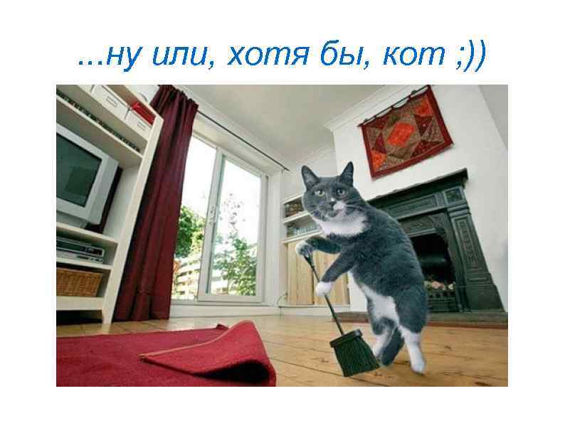 . . . ну или, хотя бы, кот ; )) 