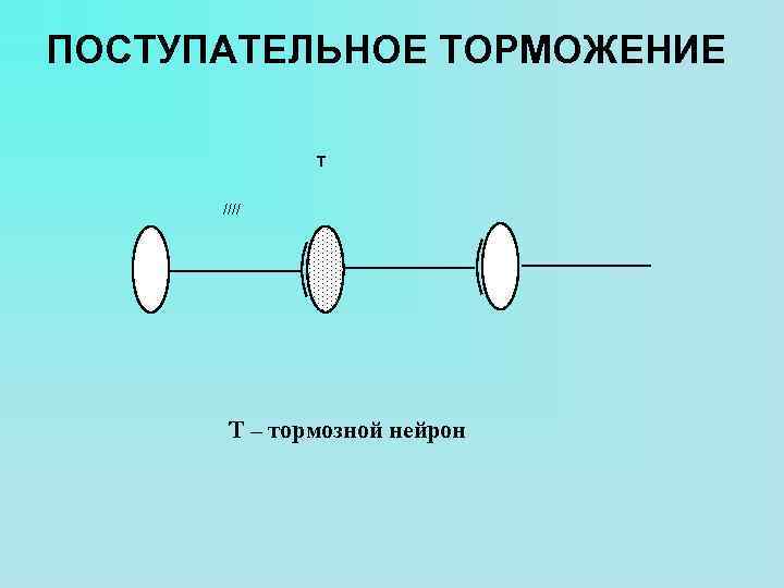 ПОСТУПАТЕЛЬНОЕ ТОРМОЖЕНИЕ T //// Т – тормозной нейрон 