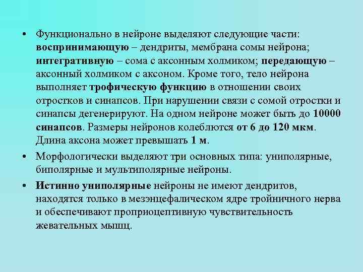  • Функционально в нейроне выделяют следующие части: воспринимающую – дендриты, мембрана сомы нейрона;