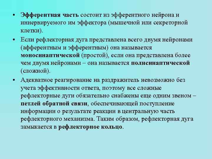  • Эфферентная часть состоит из эфферентного нейрона и иннервируемого им эффектора (мышечной или