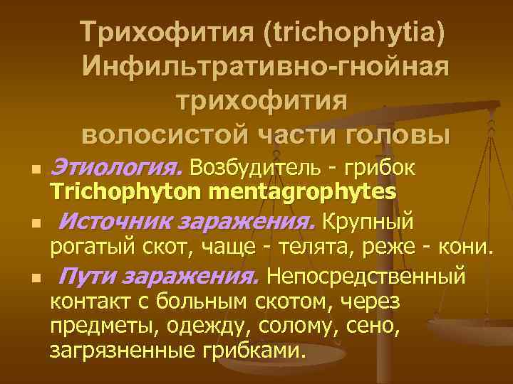 Трихофития (trichophytia) Инфильтративно-гнойная трихофития волосистой части головы n n n Этиология. Возбудитель - грибок