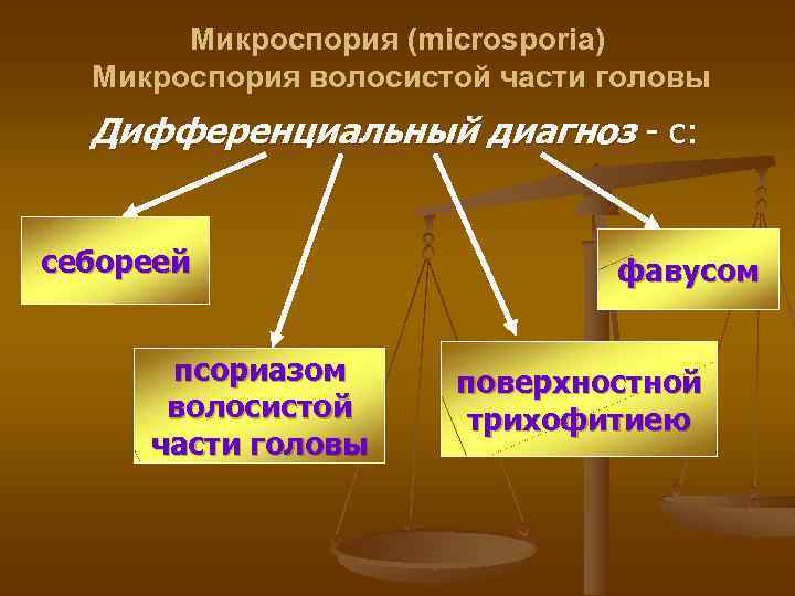 Микроспория (microsporia) Микроспория волосистой части головы Дифференциальный диагноз - с: себореей псориазом волосистой части