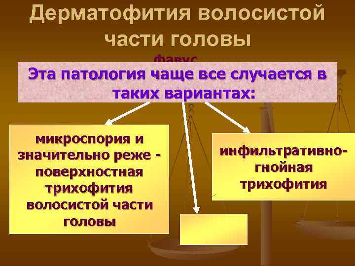 Дерматофития волосистой части головы фавус. Эта патология чаще все случается в таких вариантах: микроспория