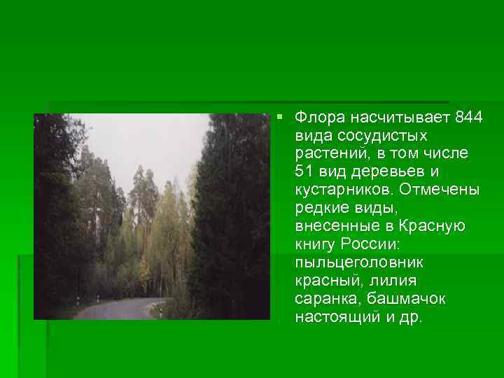 Рассказ о заповеднике 1 класс окружающий мир татарстана для детей с картинками