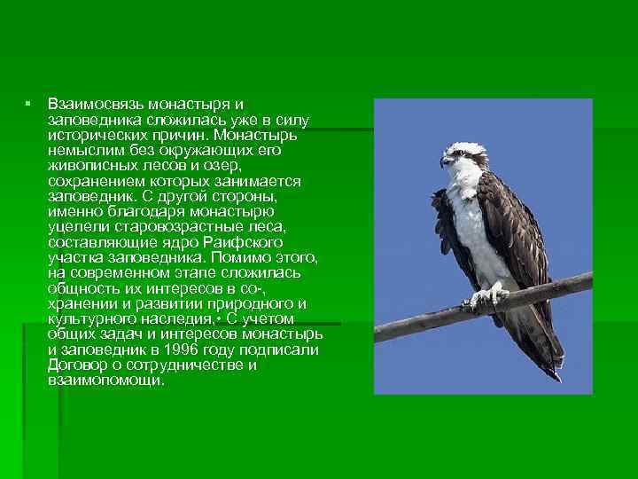 § Взаимосвязь монастыря и заповедника сложилась уже в силу исторических причин. Монастырь немыслим без