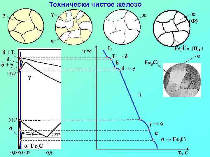 Технически чистое железо γ γ α (Ф) α α T C δ+L δ δ+γ