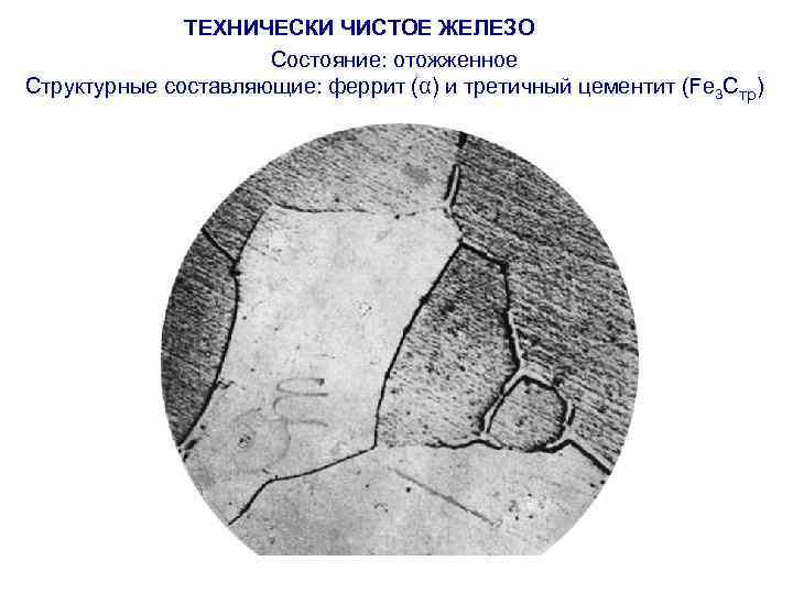 ТЕХНИЧЕСКИ ЧИСТОЕ ЖЕЛЕЗО Состояние: отожженное Структурные составляющие: феррит (α) и третичный цементит (Fe 3