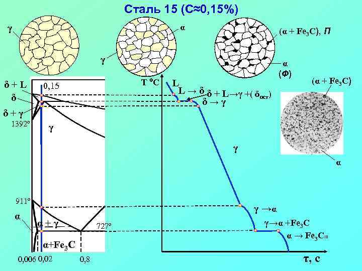 Сталь 15 (С≈0, 15%) α γ (α + Fe 3 C), П γ δ+L