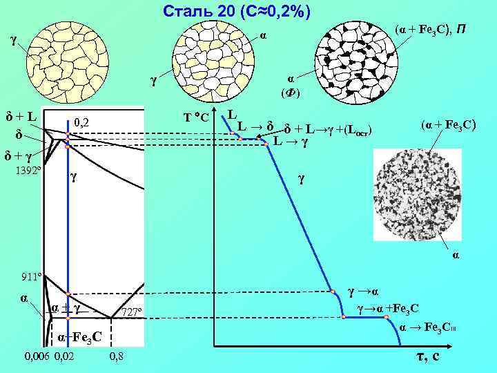 Сталь 20 (С≈0, 2%) (α + Fe 3 C), П α γ α (Ф)