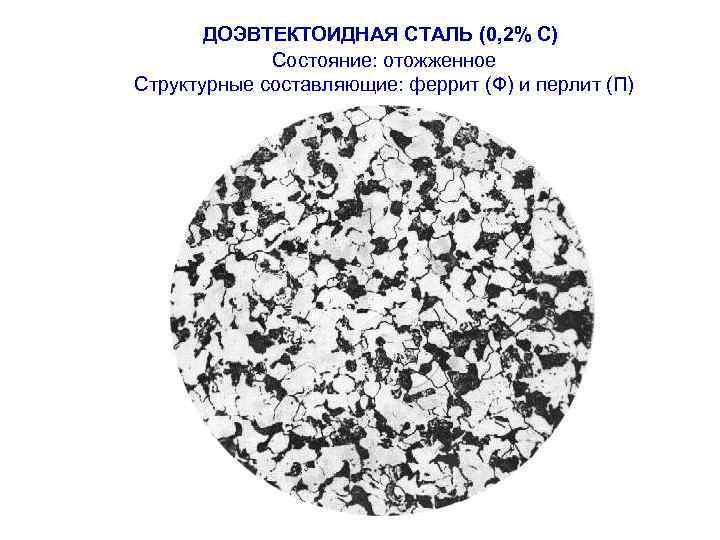 ДОЭВТЕКТОИДНАЯ СТАЛЬ (0, 2% С) Состояние: отожженное Структурные составляющие: феррит (Ф) и перлит (П)